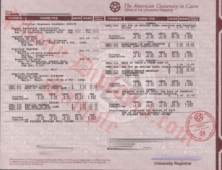 Egypt American University In Cairo Actual Match Transcript Fake Diploma Sample